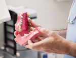 Dental Teeth