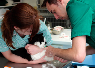 Nurses holding cat